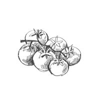 alimentos saludables